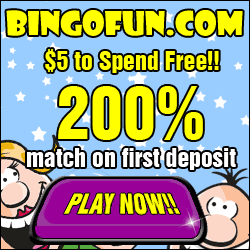 Download and Play at Bingo Fun