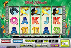 Play Birds of Paradise Slots now!