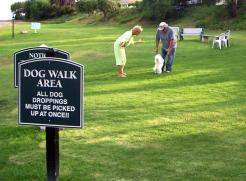 Great Dog Parks in Las Vegas