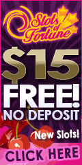 Slot of Fortune Casino