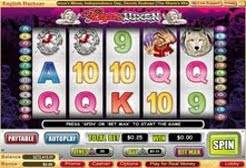 Play Vampire Vixen Slots now!