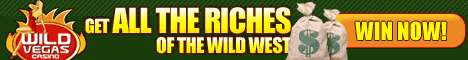 Download and Play at Wild Vegas Casino