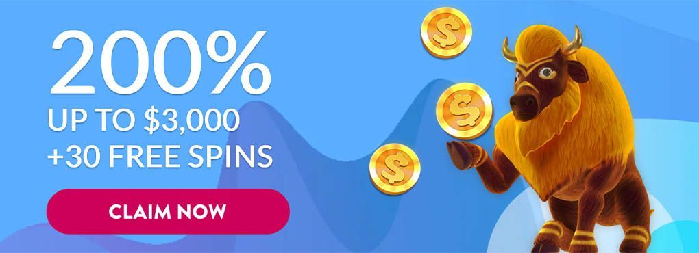 How to Make the Most of the Various Types of Casino Bonuses
