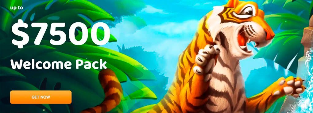 Flash Casino Games